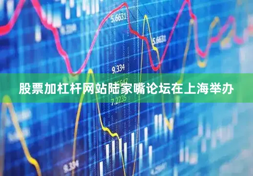 股票加杠杆网站陆家嘴论坛在上海举办