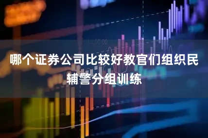 哪个证券公司比较好教官们组织民辅警分组训练