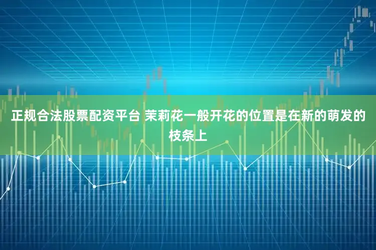 正规合法股票配资平台 茉莉花一般开花的位置是在新的萌发的枝条上