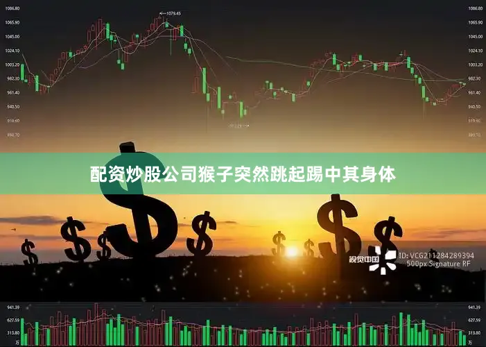 配资炒股公司猴子突然跳起踢中其身体