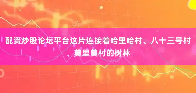 配资炒股论坛平台这片连接着哈里哈村、八十三号村、莫里莫村的树林