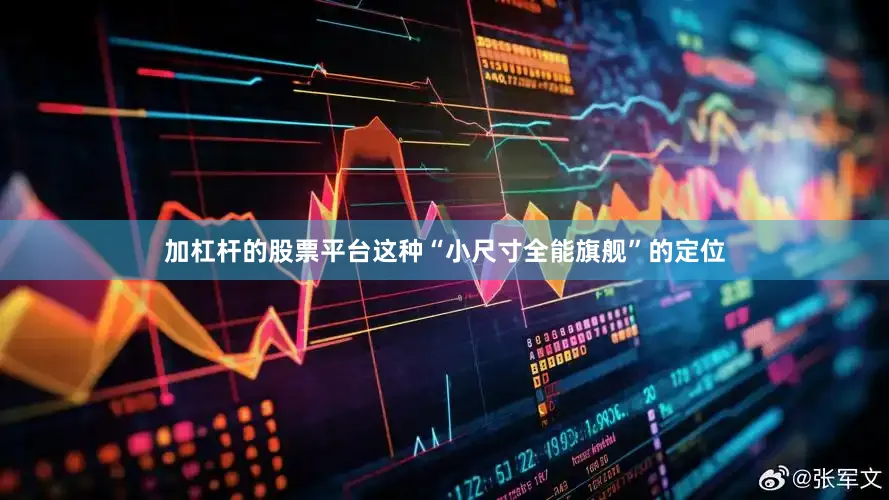 加杠杆的股票平台这种“小尺寸全能旗舰”的定位
